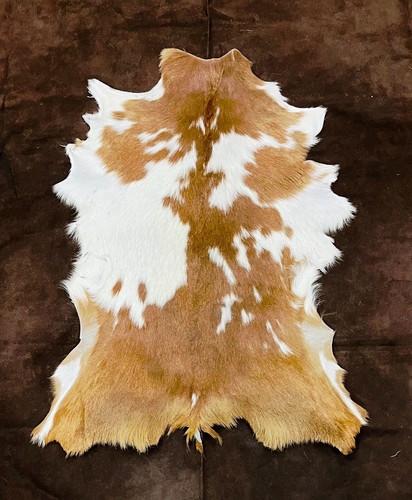 Nordic goat hide real - goat,